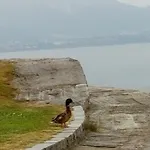 호텔 La Rondinella 카네로 리비에라