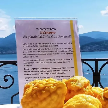 La Rondinella 3*