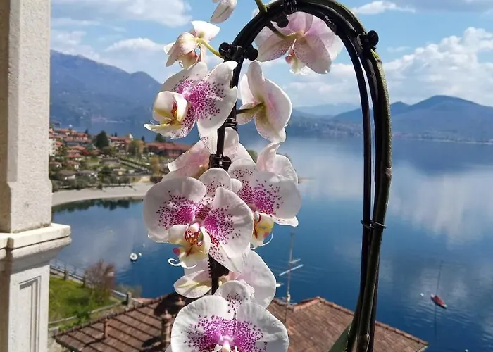 La Rondinella Hotel Cannero Riviera