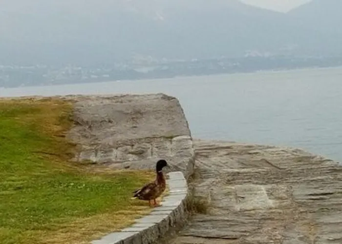 호텔 La Rondinella 카네로 리비에라